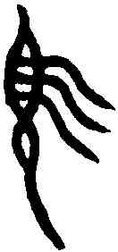 須,師魚父旅簋 ,書法字典
